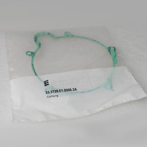 Eberspacher Heater D5LC Motor Gasket | 251729010006