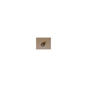 Eberspacher heater D30W fuel nozzle | 33000027