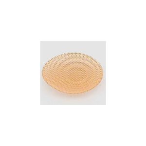 Webasto DBW Fuel pump filter | 1319357A | 310344